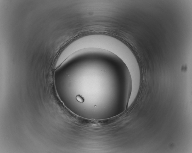 X0000113150411200909251333