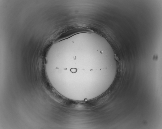 X0000113150412200909251333