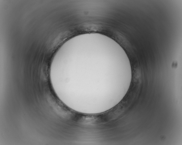 X0000113150414200909251333