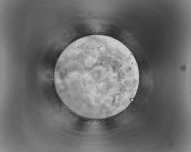 X0000113150419200909251332