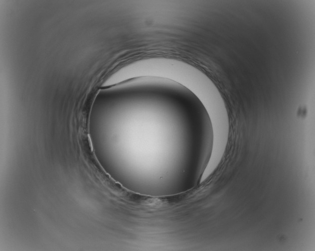 X0000113150421200909251332