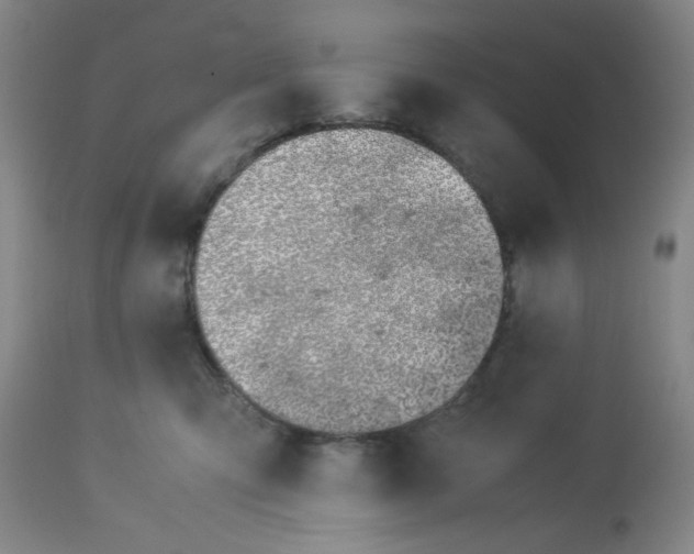 X0000113150423200909251332