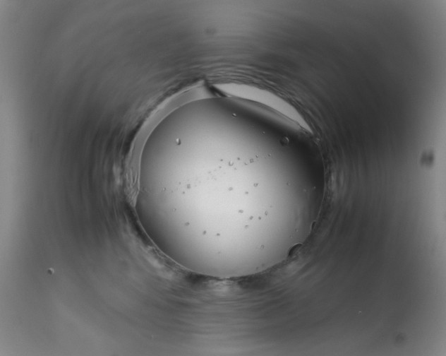 X0000113150424200909251332