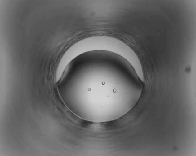 X0000113150425200909251332