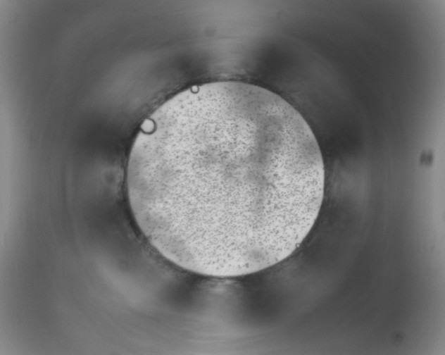 X0000113150427200909251332