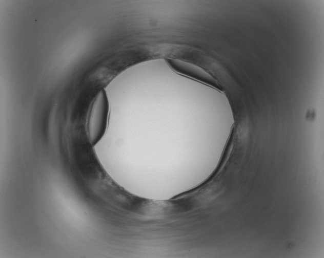 X0000113150429200909251332