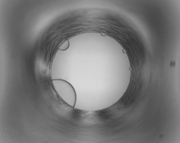 X0000113150431200909251332