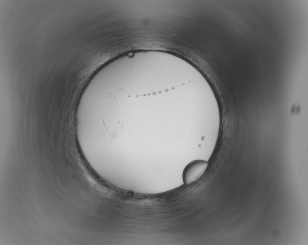 X0000113150433200909251331