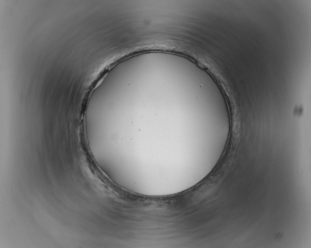 X0000113150434200909251331