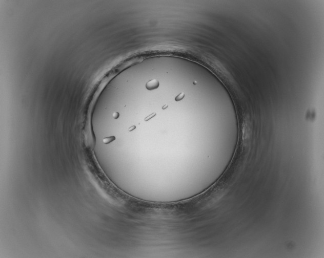 X0000113150436200909251332