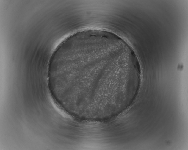 X0000113150438200909251332