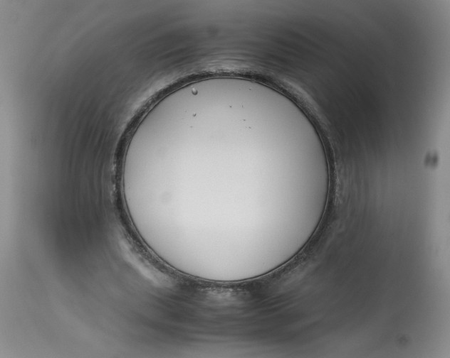 X0000113150439200909251332