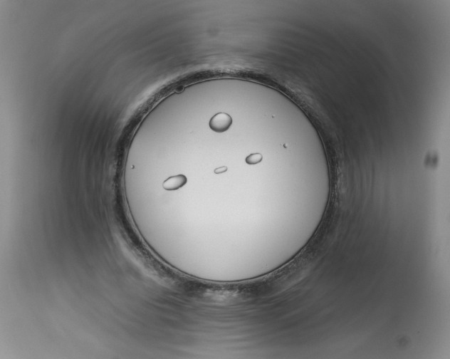 X0000113150440200909251332