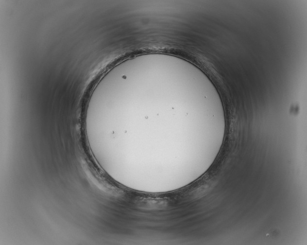 X0000113150443200909251332