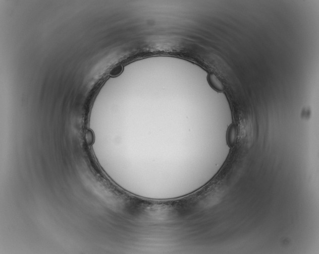 X0000113150444200909251332