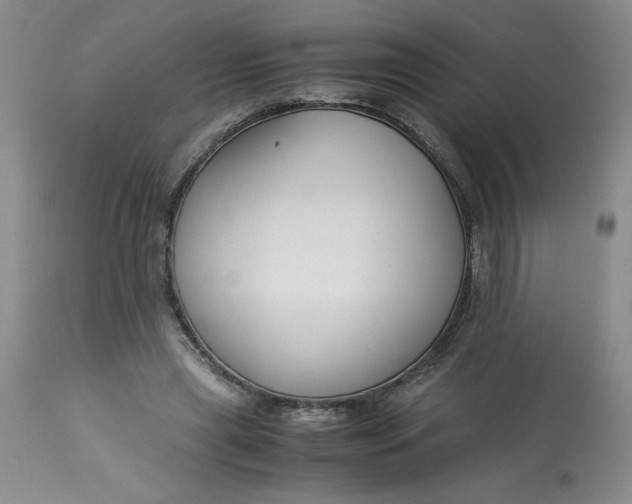 X0000113150445200909251332