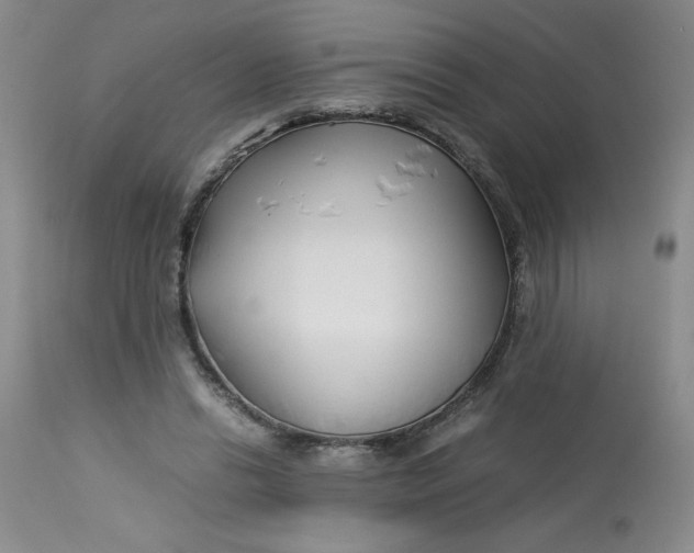 X0000113150446200909251332