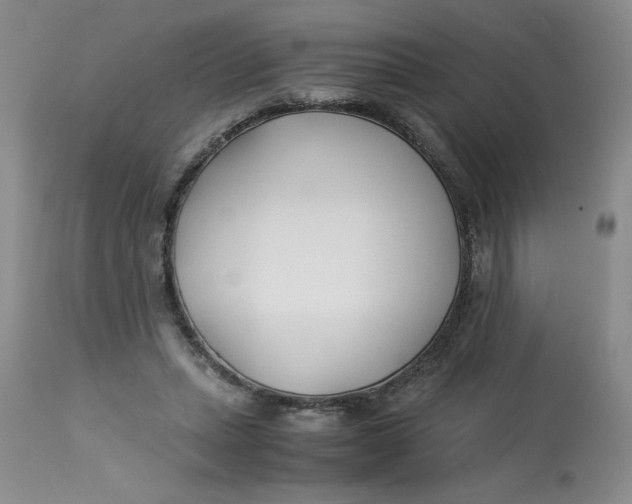 X0000113150447200909251332