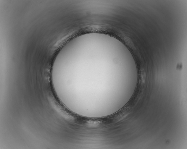 X0000113150450200909251332