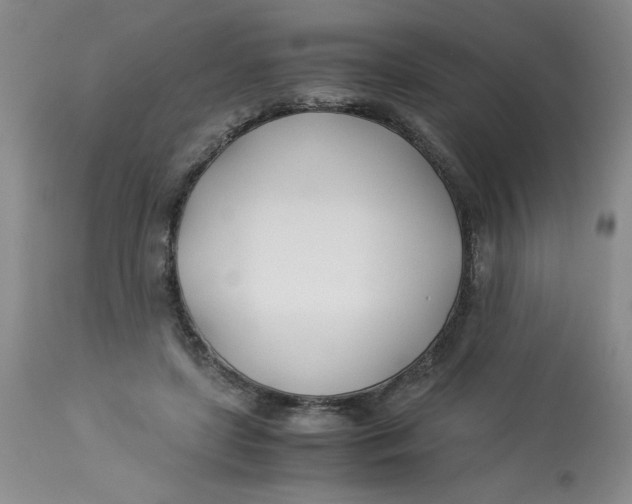 X0000113150451200909251332