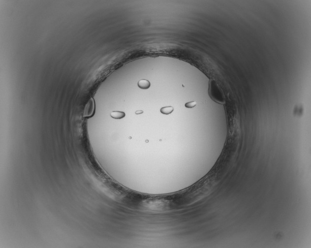 X0000113150452200909251332