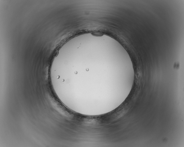 X0000113150454200909251332