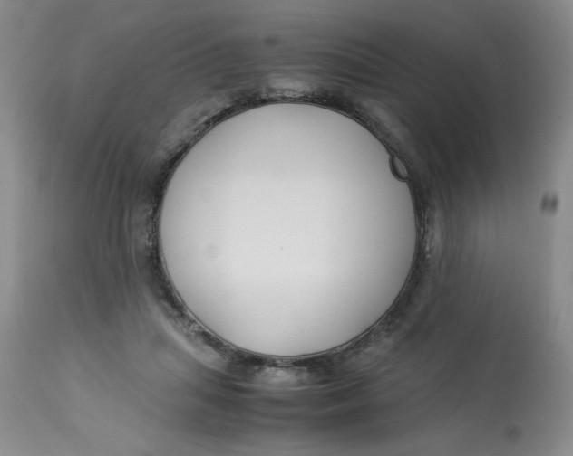 X0000113150455200909251332