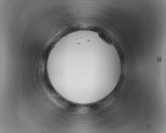 X0000113150456200909251332