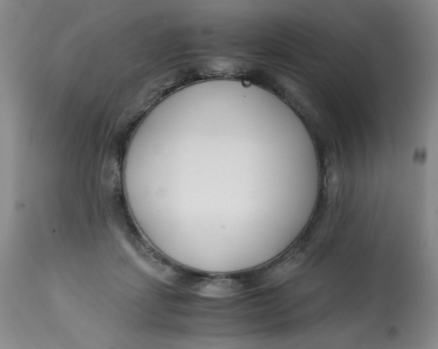 X0000113150459200909251332