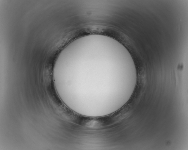 X0000113150460200909251332