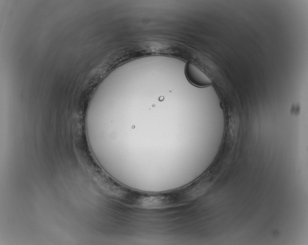 X0000113150461200909251332