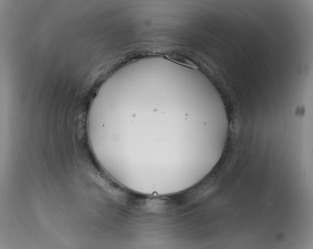 X0000113150462200909251332