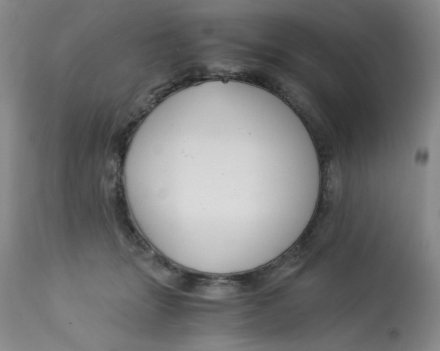 X0000113150463200909251332