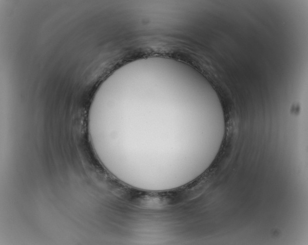 X0000113150464200909251332