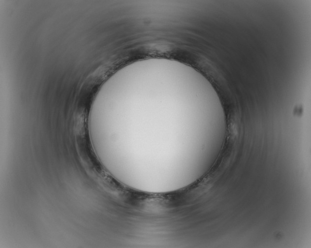 X0000113150468200909251332