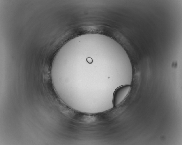 X0000113150469200909251332