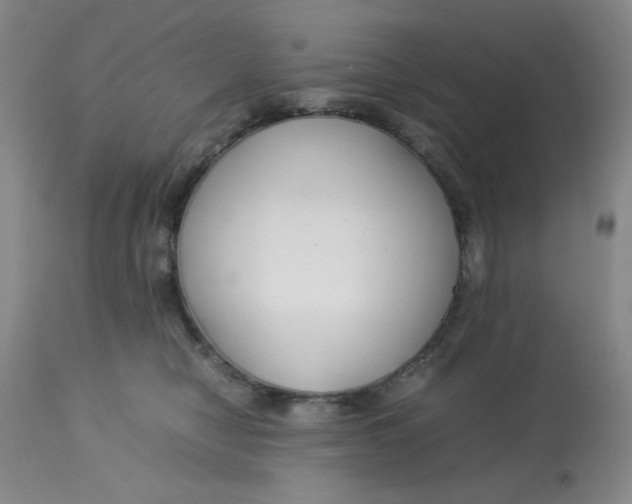 X0000113150470200909251332