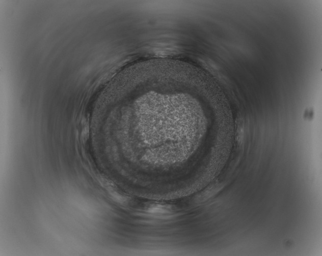 X0000113150471200909251332