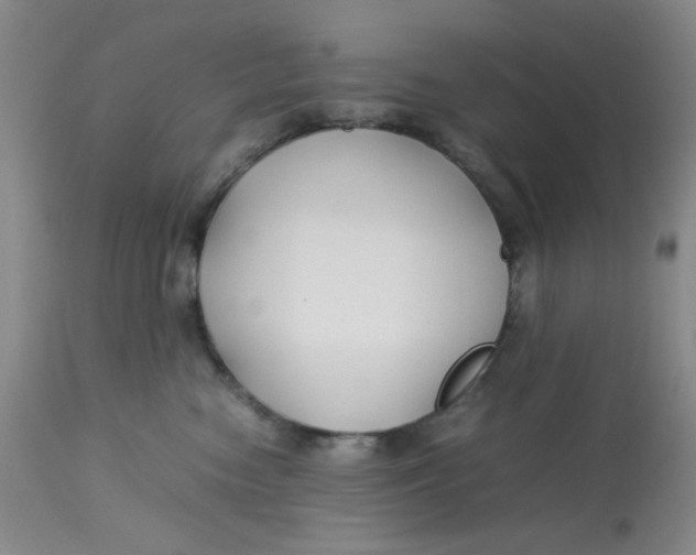 X0000113150474200909251332