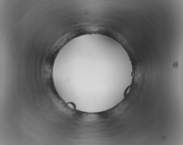 X0000113150476200909251332