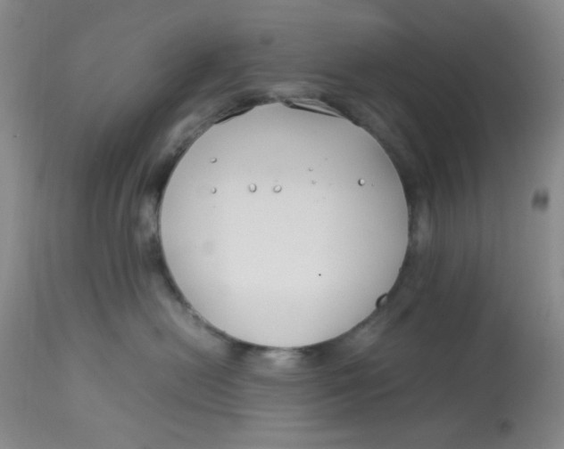 X0000113150478200909251332