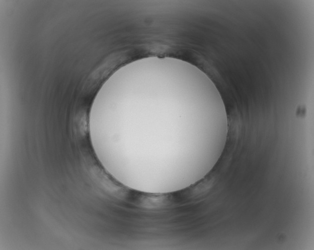 X0000113150479200909251332