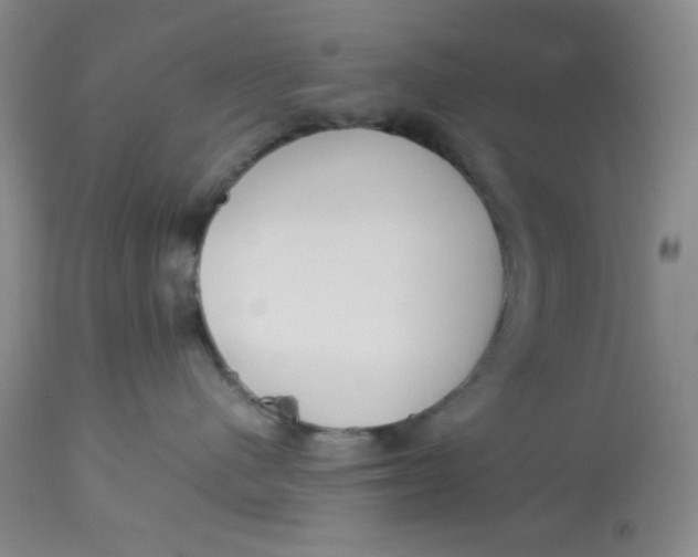 X0000113150480200909251332