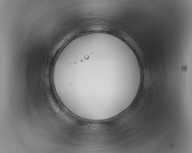 X0000113150482200909251331