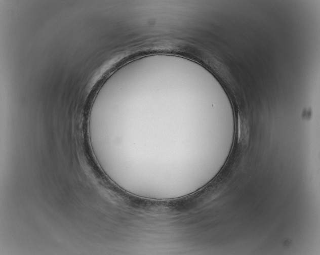 X0000113150483200909251331