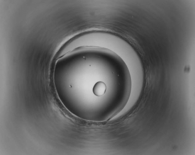 X0000113150484200909251331