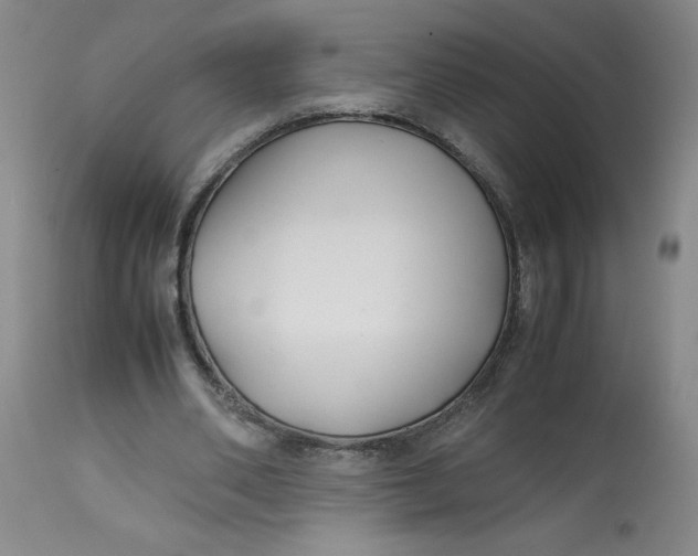 X0000113150486200909251331