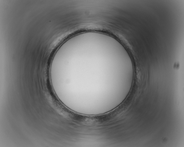 X0000113150487200909251331