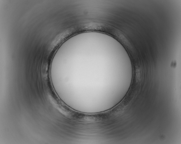 X0000113150490200909251331