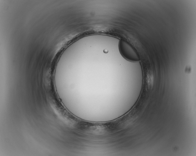 X0000113150492200909251331